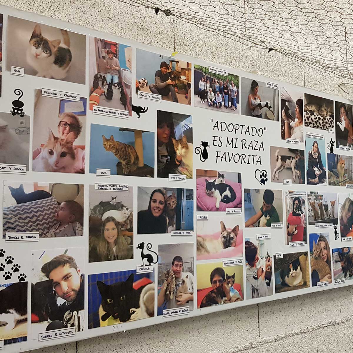 Quiénes somos 1 panel quienes somos