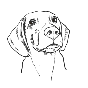 perros