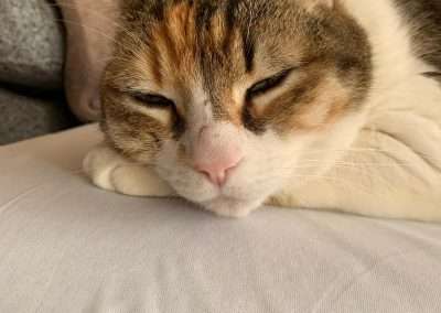 IMG 20250331 WA0005
