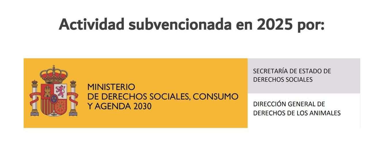 subvencion subvencion e1764679007949