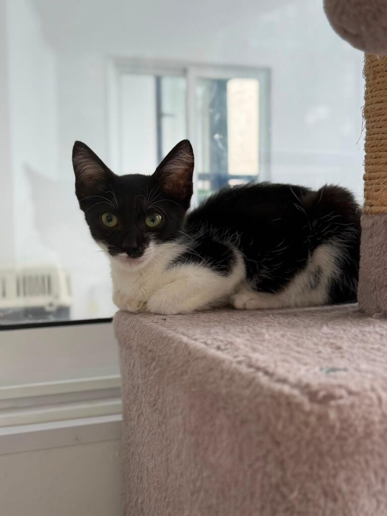 IMG 1075